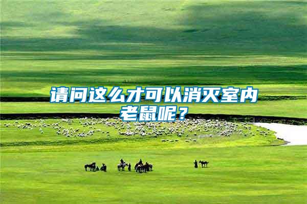 請(qǐng)問這么才可以消滅室內(nèi)老鼠呢？