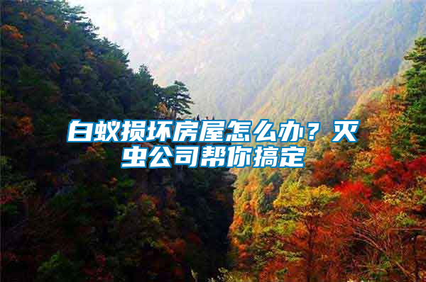 白蟻損壞房屋怎么辦？滅蟲(chóng)公司幫你搞定
