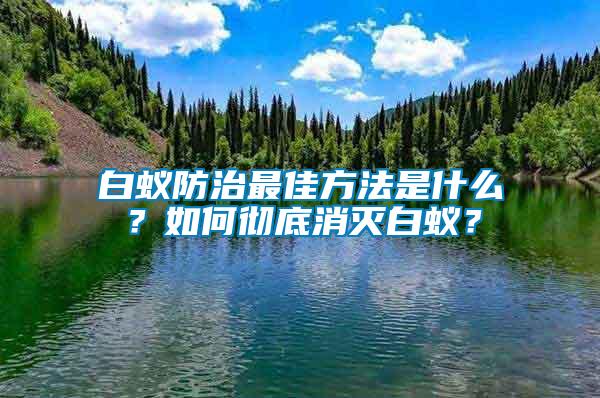 白蟻防治最佳方法是什么？如何徹底消滅白蟻？