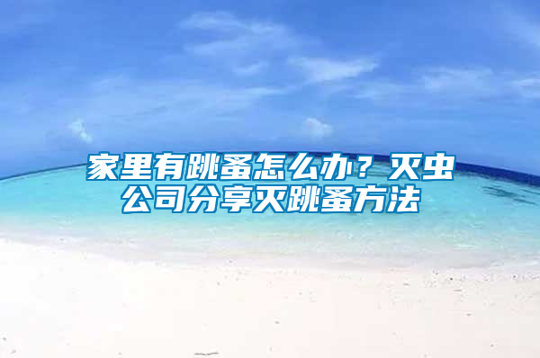 家里有跳蚤怎么辦？滅蟲公司分享滅跳蚤方法