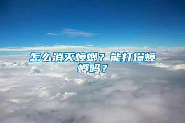 怎么消滅蟑螂？能打爆蟑螂嗎？