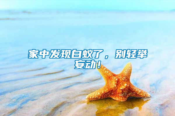 家中發(fā)現(xiàn)白蟻了，別輕舉妄動(dòng)！