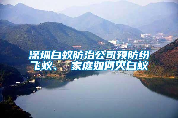 深圳白蟻防治公司預(yù)防紛飛蟻、 家庭如何滅白蟻