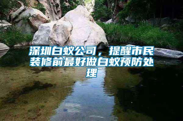 深圳白蟻公司，提醒市民裝修前最好做白蟻預(yù)防處理