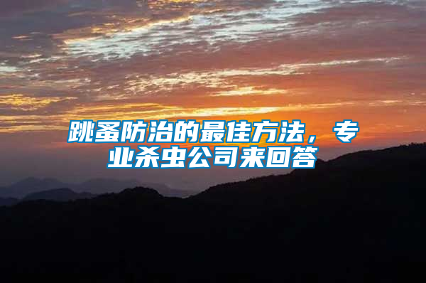 跳蚤防治的最佳方法，專業(yè)殺蟲公司來回答