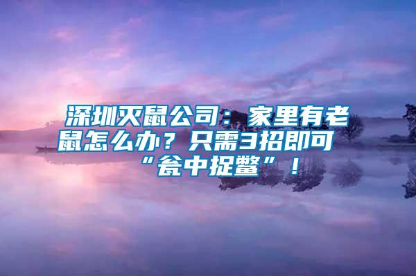 深圳滅鼠公司：家里有老鼠怎么辦？只需3招即可“甕中捉鱉”！