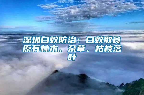 深圳白蟻防治：白蟻取食原有林木、雜草、枯枝落葉