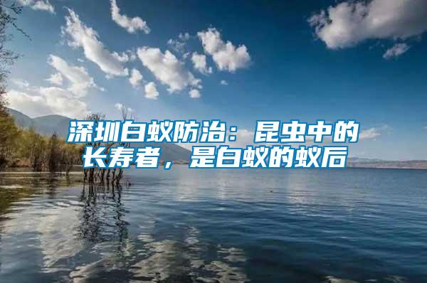 深圳白蟻防治：昆蟲(chóng)中的長(zhǎng)壽者，是白蟻的蟻后