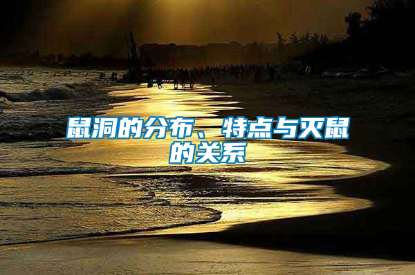 鼠洞的分布、特點與滅鼠的關(guān)系