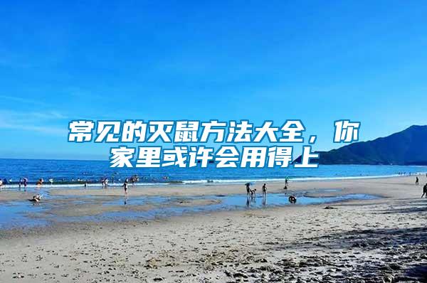 常見的滅鼠方法大全，你家里或許會用得上
