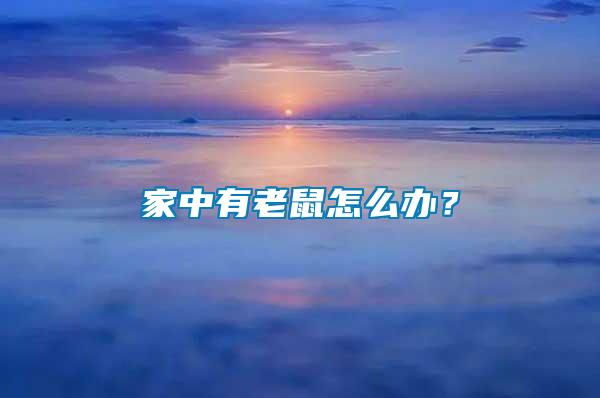 家中有老鼠怎么辦？