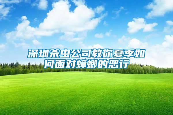 深圳殺蟲(chóng)公司教你夏季如何面對(duì)蟑螂的惡行
