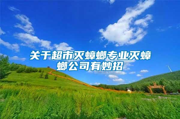關(guān)于超市滅蟑螂專(zhuān)業(yè)滅蟑螂公司有妙招