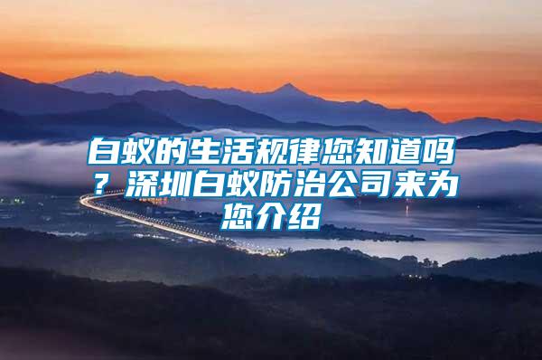 白蟻的生活規(guī)律您知道嗎？深圳白蟻防治公司來為您介紹