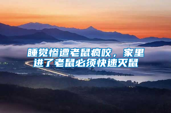 睡覺(jué)慘遭老鼠瘋咬，家里進(jìn)了老鼠必須快速滅鼠