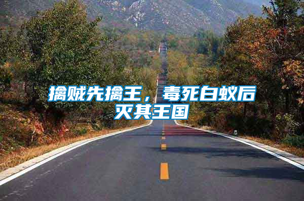 擒賊先擒王，毒死白蟻后滅其王國