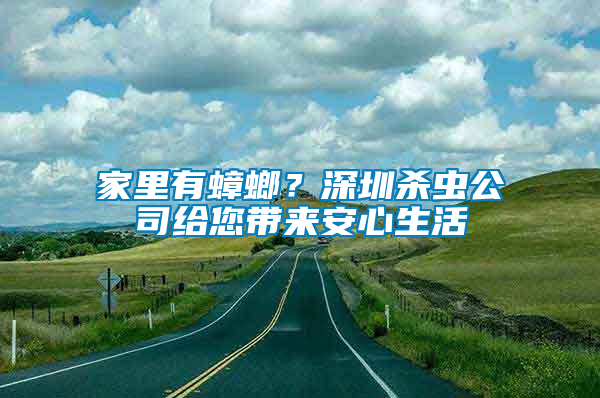 家里有蟑螂？深圳殺蟲公司給您帶來安心生活