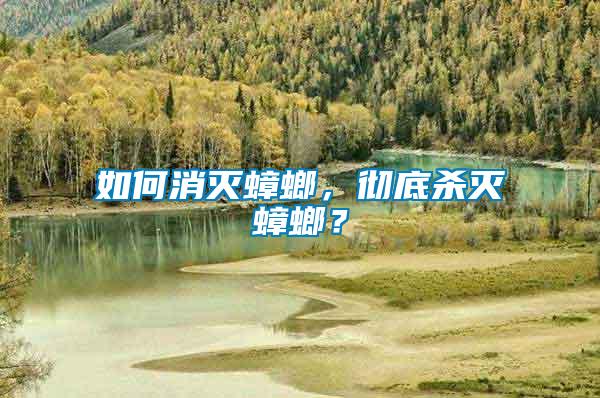 如何消滅蟑螂，徹底殺滅蟑螂？