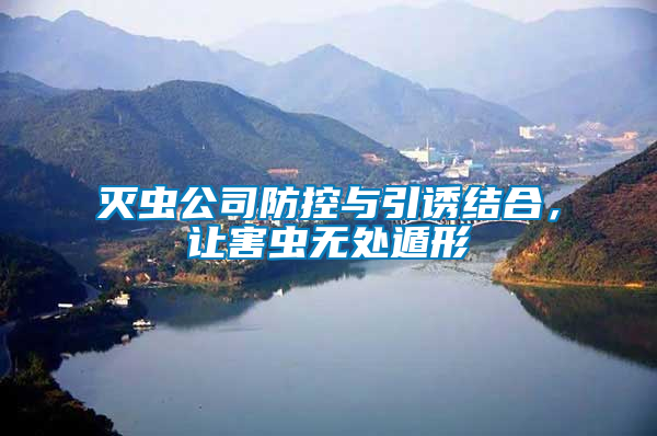 滅蟲公司防控與引誘結(jié)合，讓害蟲無(wú)處遁形