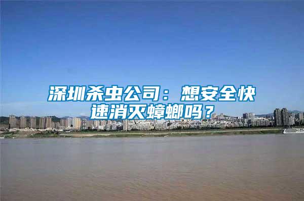 深圳殺蟲公司：想安全快速消滅蟑螂嗎？