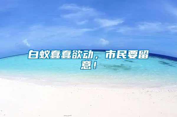 白蟻蠢蠢欲動，市民要留意！