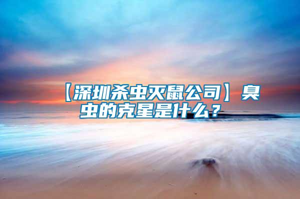 【深圳殺蟲滅鼠公司】臭蟲的克星是什么？