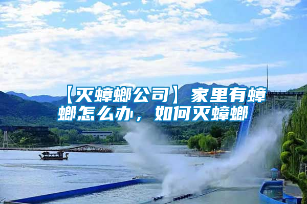 【滅蟑螂公司】家里有蟑螂怎么辦，如何滅蟑螂