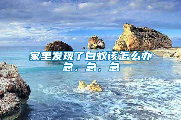 家里發(fā)現(xiàn)了白蟻該怎么辦急，急，急