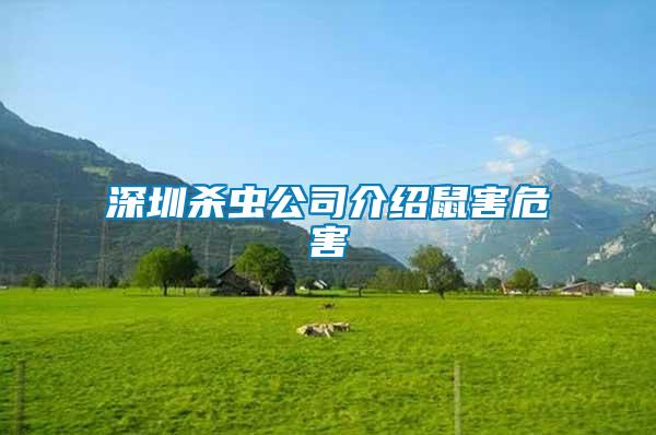 深圳殺蟲(chóng)公司介紹鼠害危害