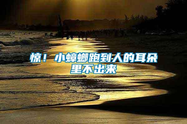 驚！小蟑螂跑到人的耳朵里不出來(lái)