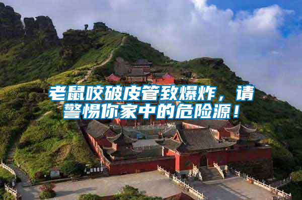 老鼠咬破皮管致爆炸，請警惕你家中的危險(xiǎn)源！