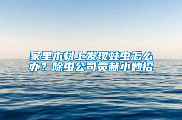 家里木材上發(fā)現(xiàn)蛀蟲(chóng)怎么辦？除蟲(chóng)公司貢獻(xiàn)小妙招