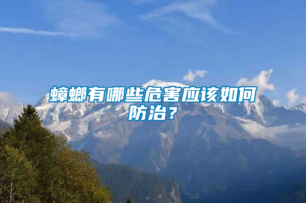 蟑螂有哪些危害應(yīng)該如何防治？