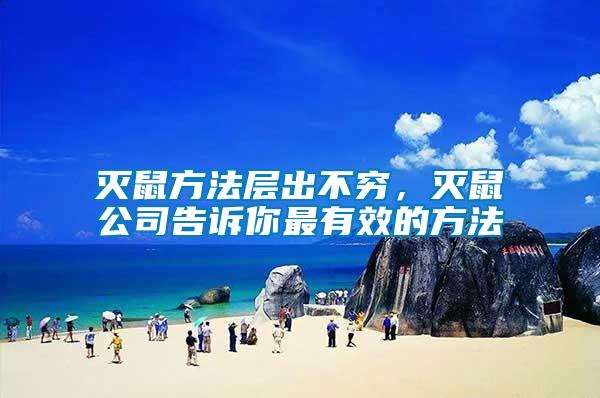 滅鼠方法層出不窮，滅鼠公司告訴你最有效的方法