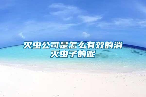 滅蟲(chóng)公司是怎么有效的消滅蟲(chóng)子的呢