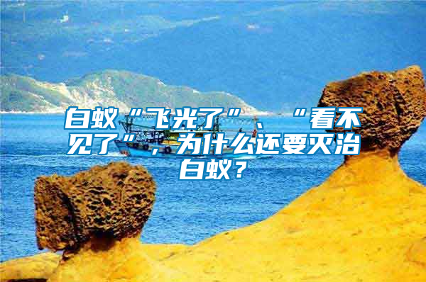 白蟻“飛光了”、“看不見(jiàn)了”，為什么還要滅治白蟻？
