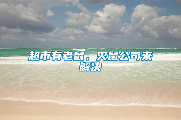 超市有老鼠，滅鼠公司來(lái)解決