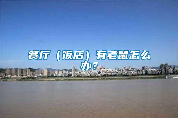 餐廳（飯店）有老鼠怎么辦？