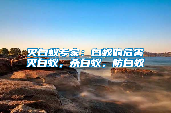 滅白蟻專家：白蟻的危害滅白蟻，殺白蟻，防白蟻