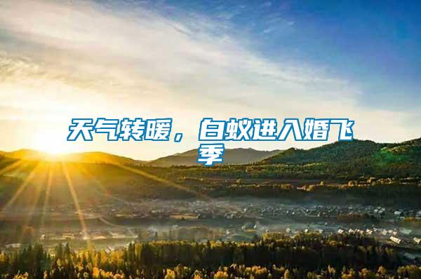天氣轉(zhuǎn)暖，白蟻進(jìn)入婚飛季