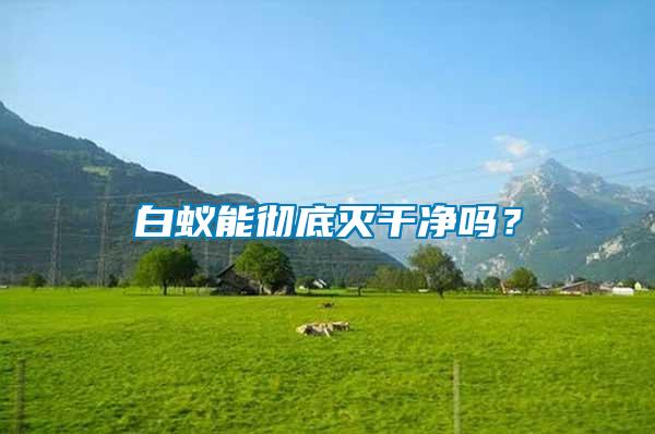 白蟻能徹底滅干凈嗎？