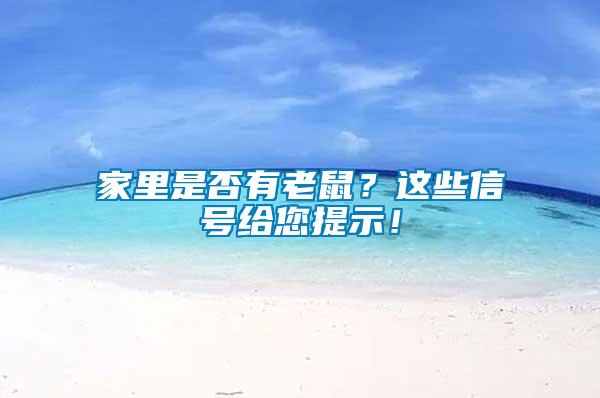 家里是否有老鼠？這些信號給您提示！
