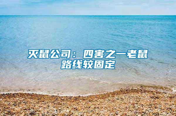 滅鼠公司：四害之一老鼠路線(xiàn)較固定