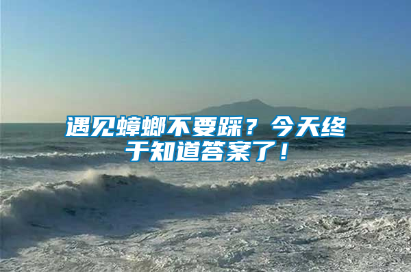 遇見蟑螂不要踩？今天終于知道答案了！