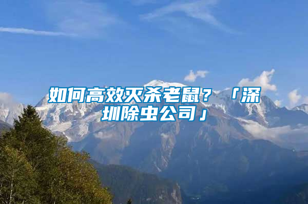 如何高效滅殺老鼠？「深圳除蟲公司」