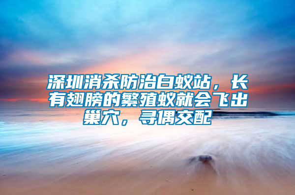 深圳消殺防治白蟻站，長(zhǎng)有翅膀的繁殖蟻就會(huì)飛出巢穴，尋偶交配