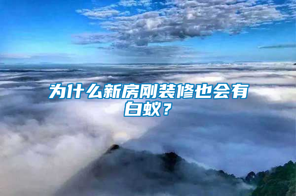 為什么新房剛裝修也會(huì)有白蟻？