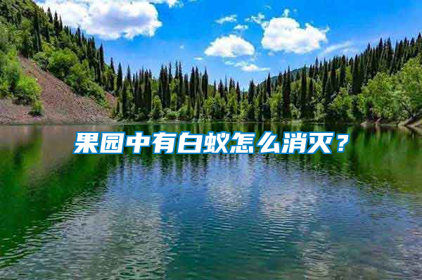 果園中有白蟻怎么消滅？