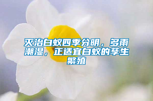 滅治白蟻四季分明，多雨潮濕，正適宜白蟻的孳生繁殖