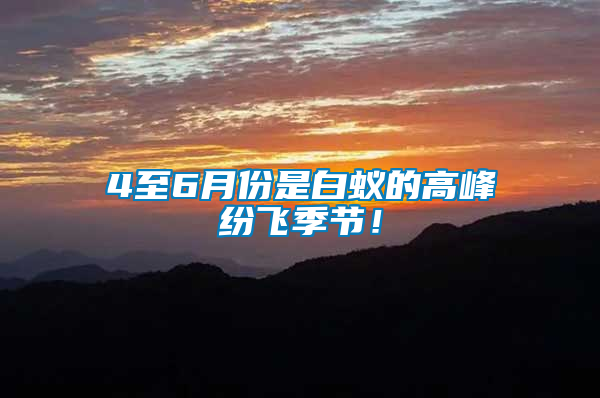 4至6月份是白蟻的高峰紛飛季節(jié)！